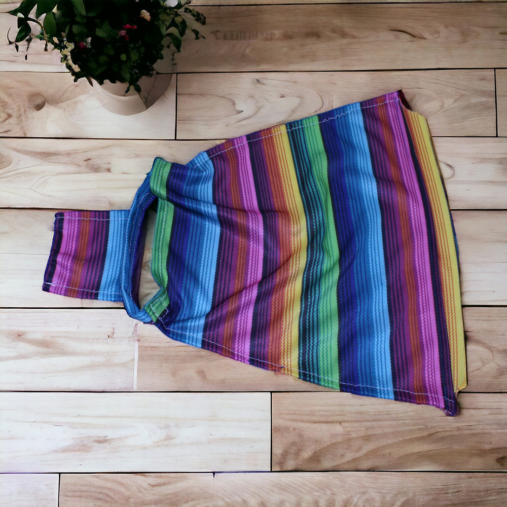 Rainbow Striped Fringed Dog Poncho Clothing Small